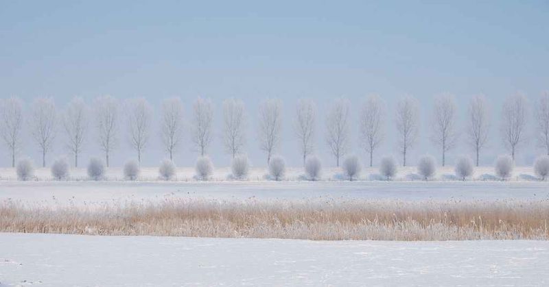 winter landscape 3-4 lsvk7940.jpg
